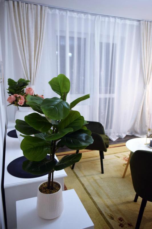 Apartament Thea Apartment Fagaras Exterior photo